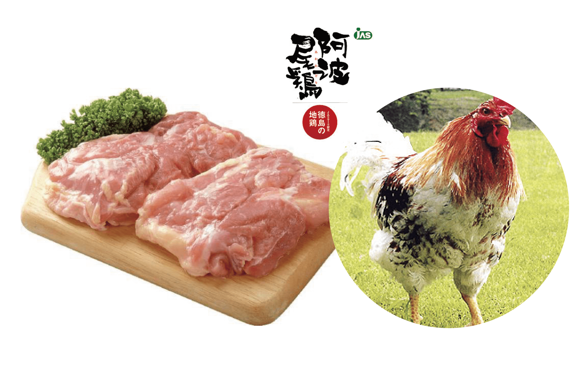 徳島県特産 高級地鶏「阿波尾鶏」もも肉500g